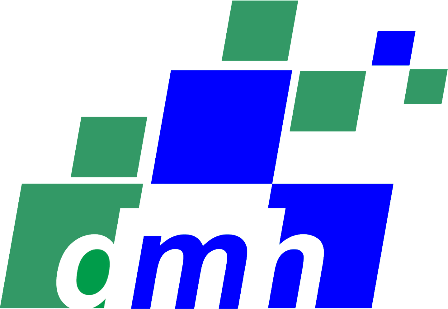 DMH Veracruz
